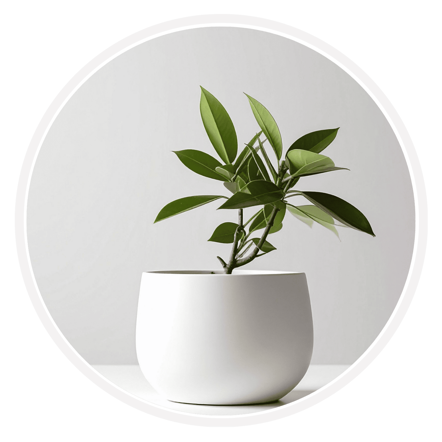 Home Decor - Aliexpress UK