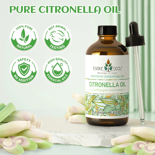 Pure Citronella Essential Oil Aliexpress UK