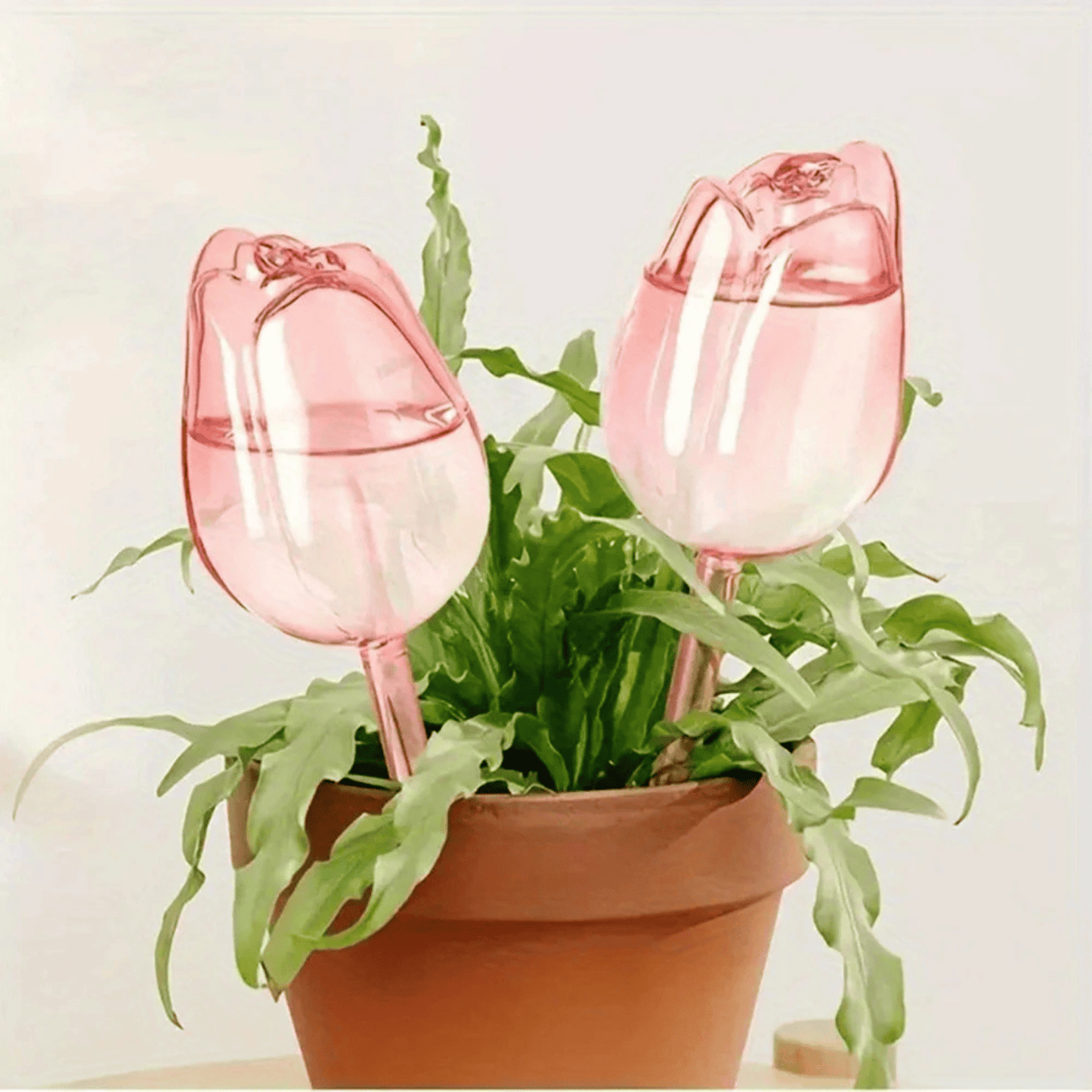 Why Your Plants Keep Dying - And How Watering Balls Might Save Them