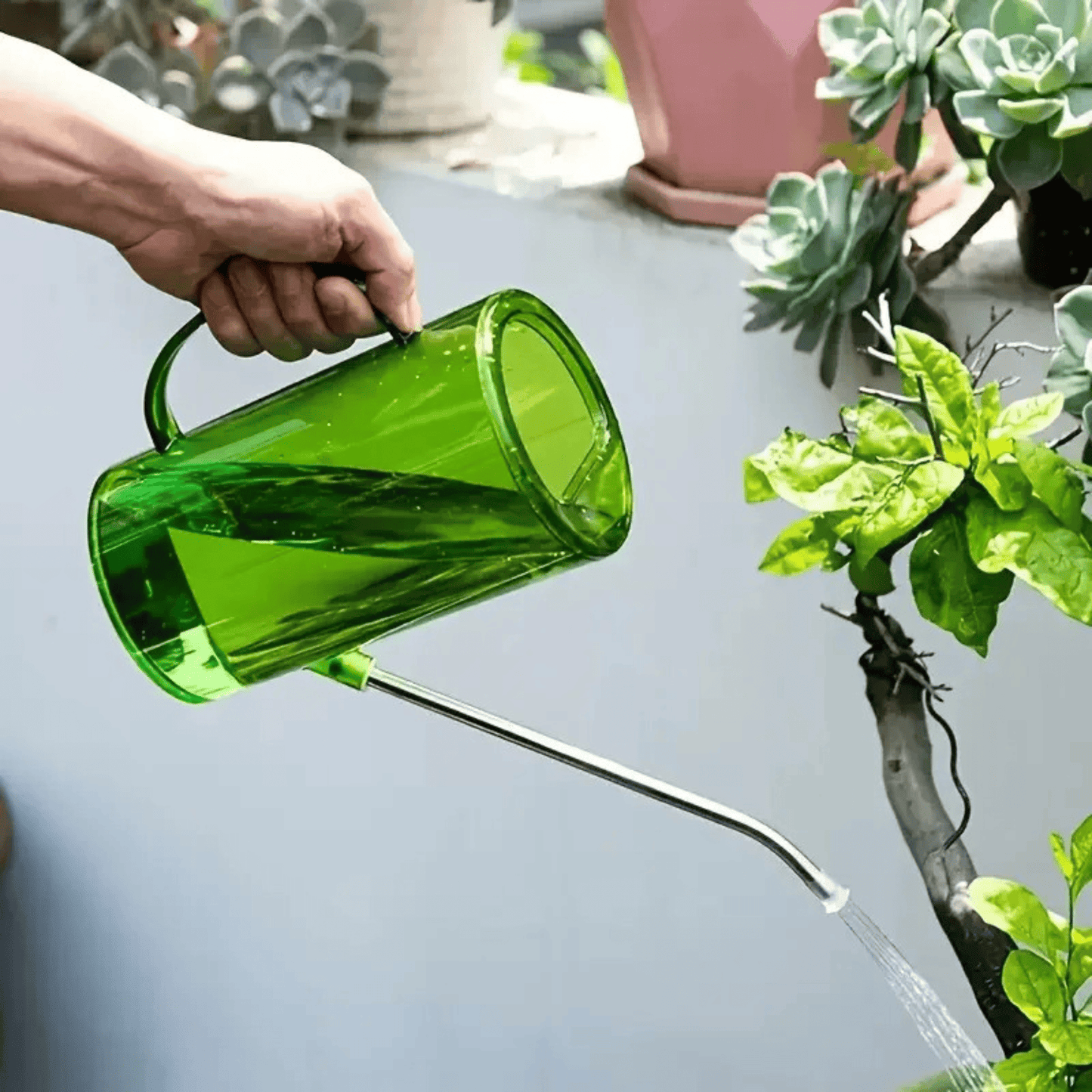 1L Watering Can Set - AliExpress UK
