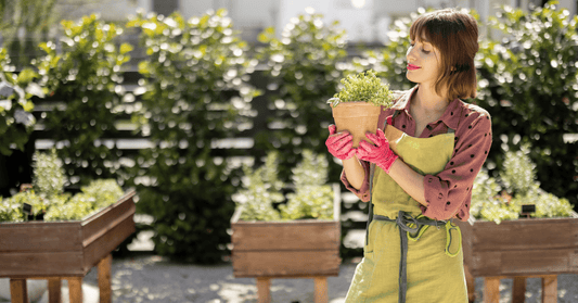 Woman Planting Herb Plant - AliExpress in UK