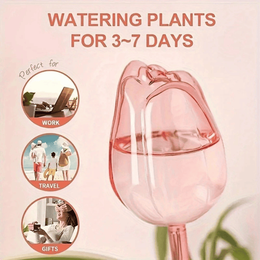 Why Your Plants Keep Dying - And How Watering Balls Might Save Them