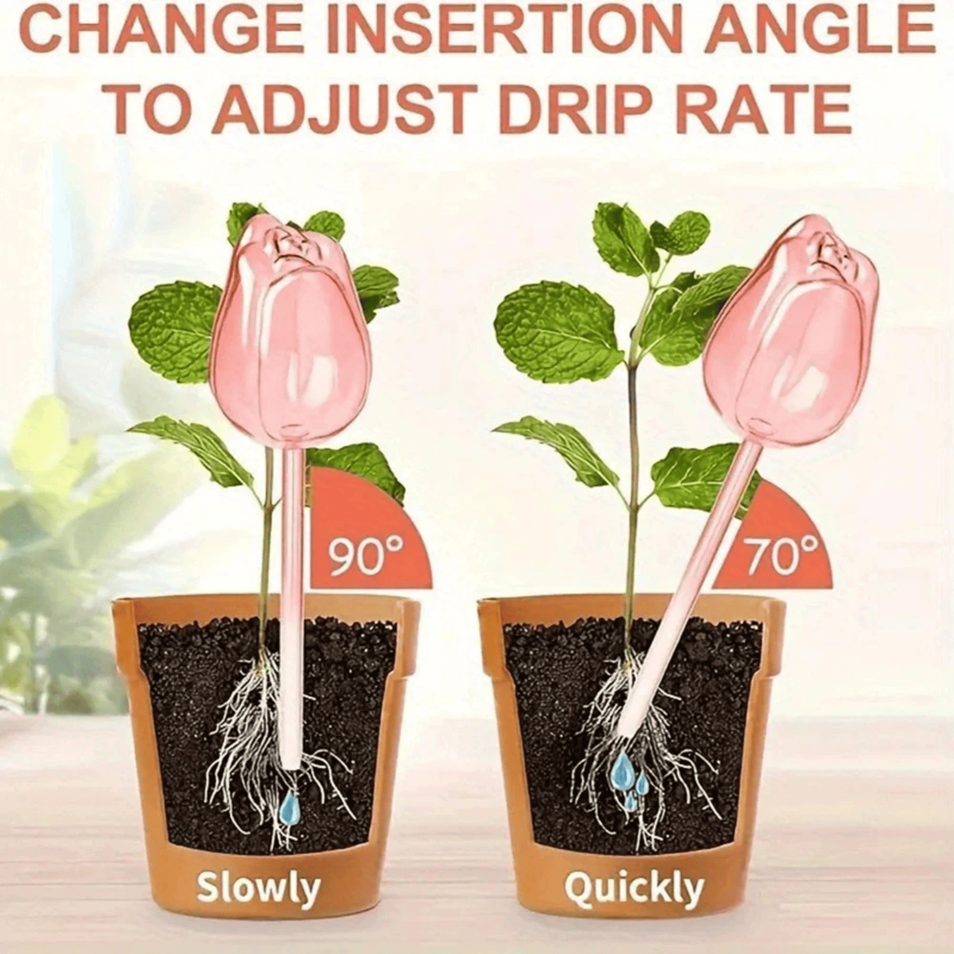 Why Your Plants Keep Dying - And How Watering Balls Might Save Them