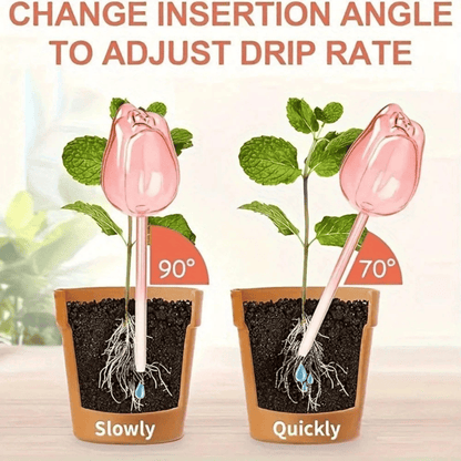 Why Your Plants Keep Dying - And How Watering Balls Might Save Them