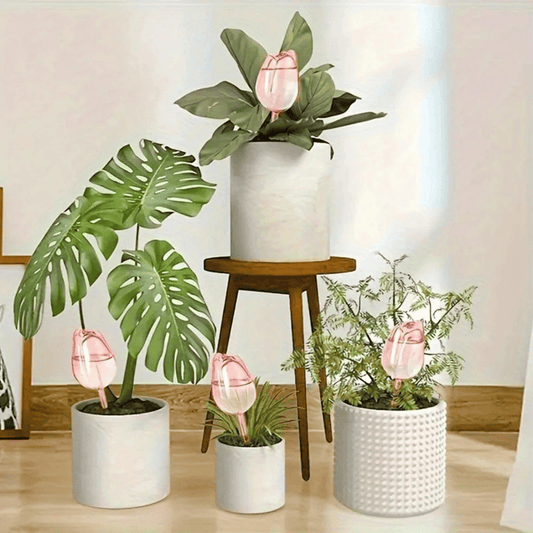 Why Your Plants Keep Dying - And How Watering Balls Might Save Them