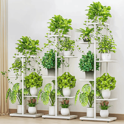 Plants Stand