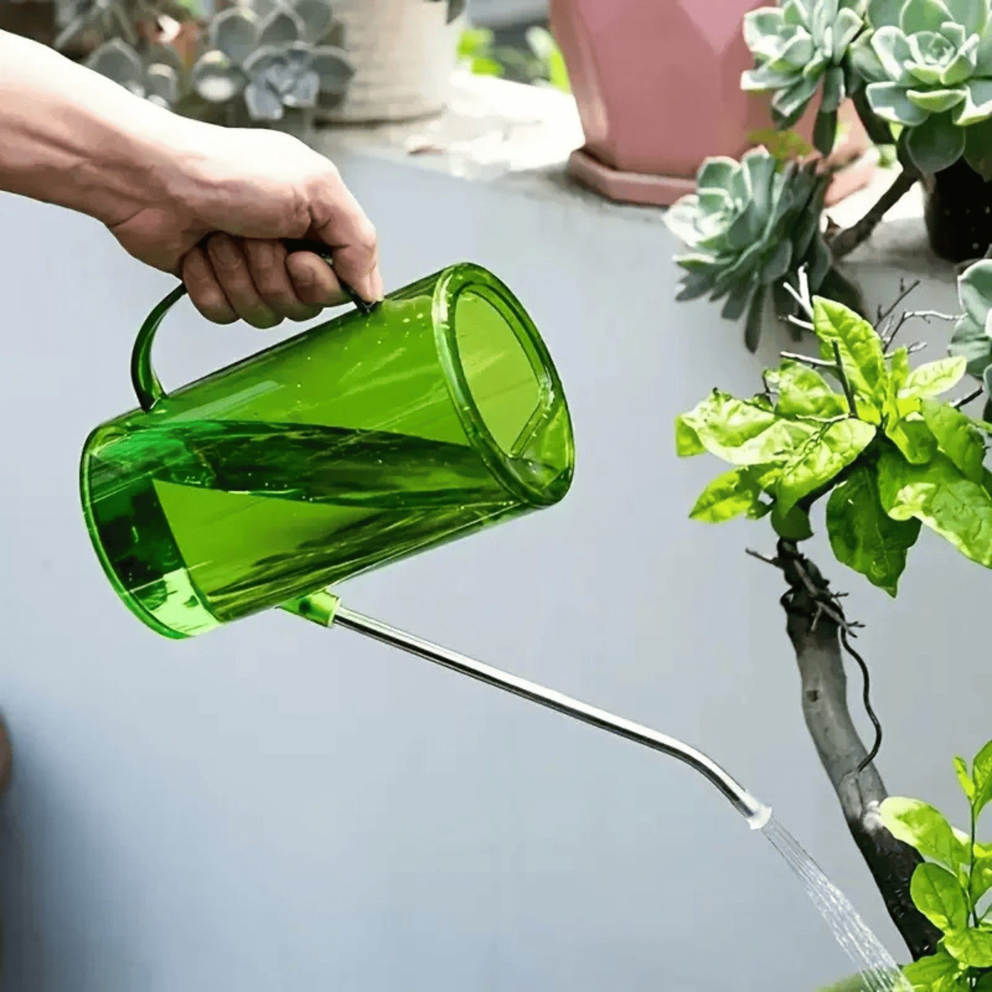1L Watering Can Set - AliExpress UK